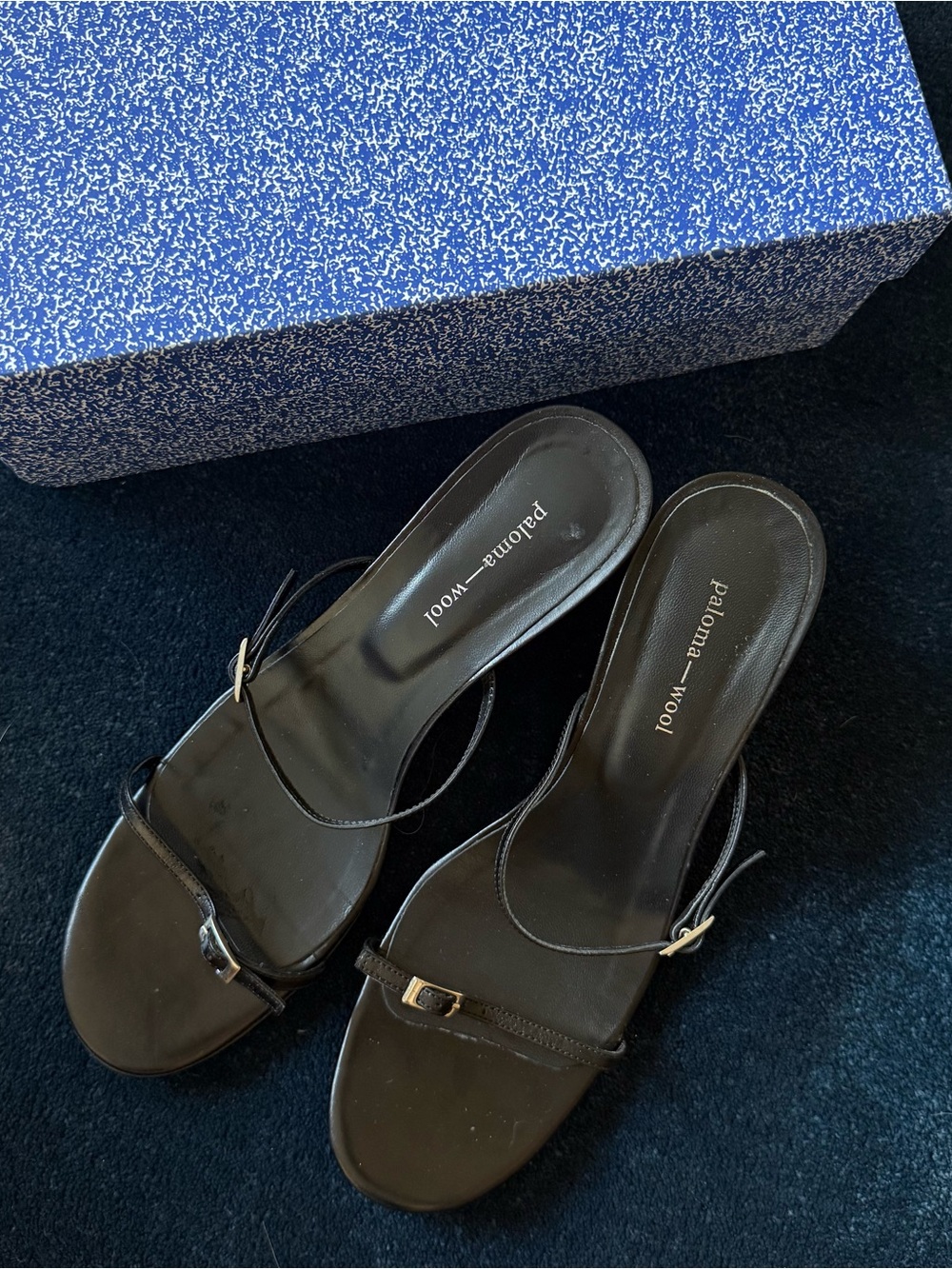 Paloma Wool Black Minimalist Strappy Slide Mules